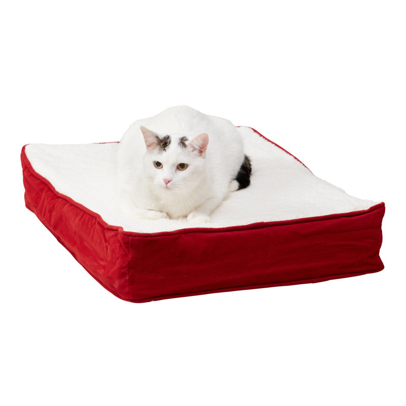 Happy Hounds Orthopedic Rectangle Cat Bed Wayfair
